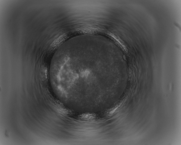 X0000094780117200712141628