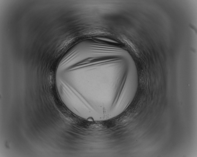 X0000094780119200712141628