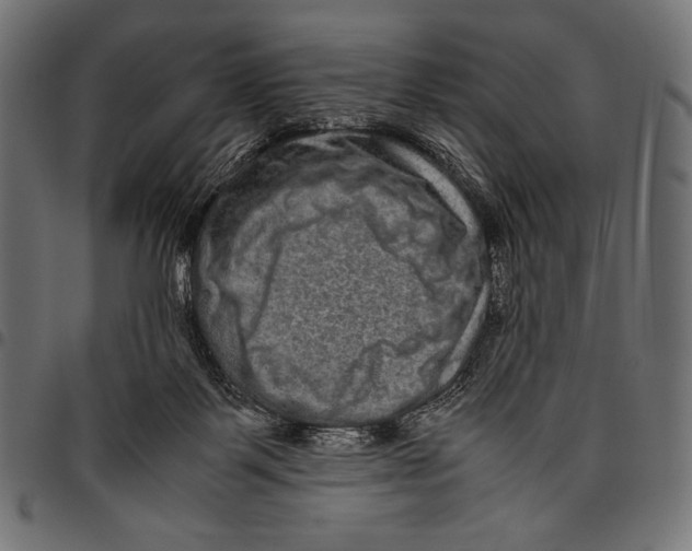 X0000094780123200712141628