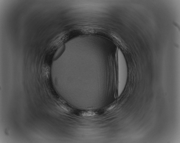 X0000094780125200712141628