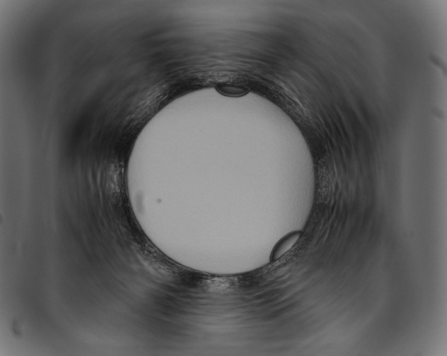 X0000094780126200712141628