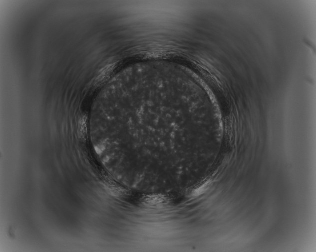 X0000094780127200712141628