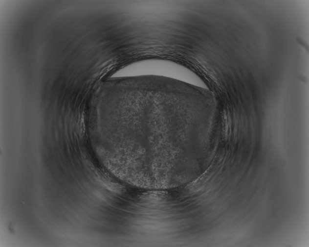 X0000094780128200712141628