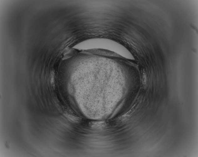 X0000094780132200712141628