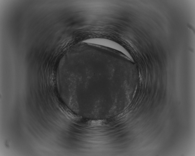 X0000094780134200712141628