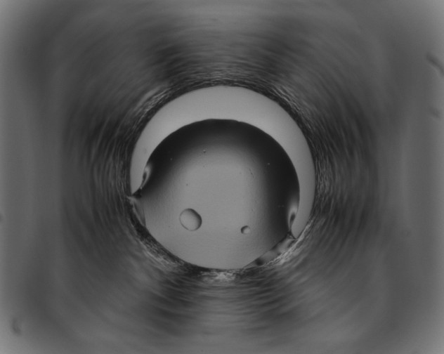 X0000094780140200712141628