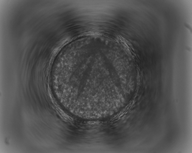 X0000094780145200712141627