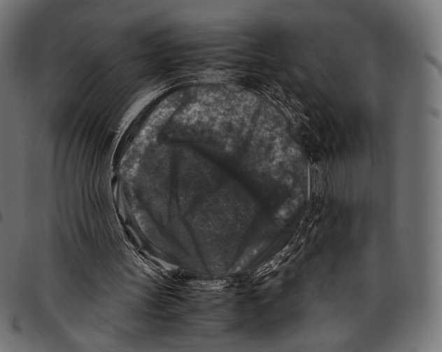 X0000094780147200712141627