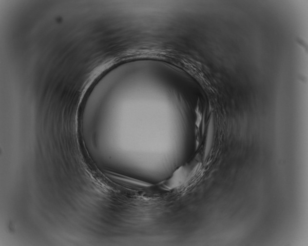 X0000094780148200712141627