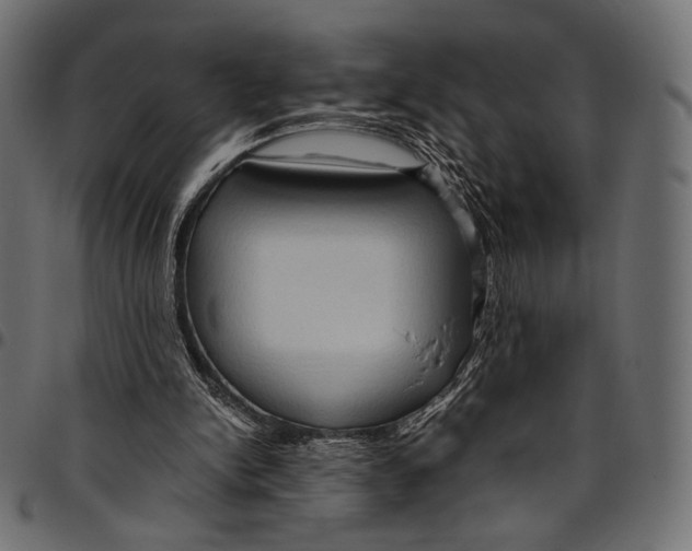 X0000094780150200712141627