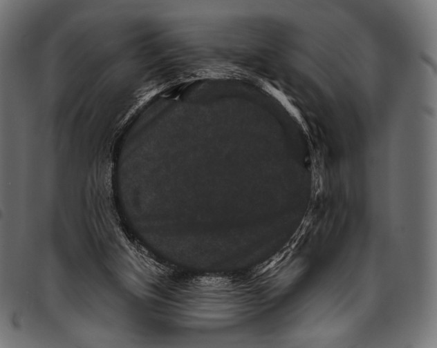 X0000094780154200712141628