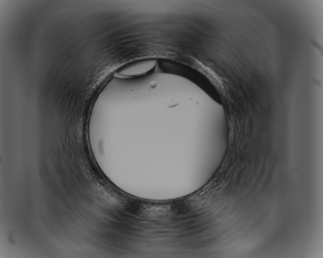 X0000094780155200712141628