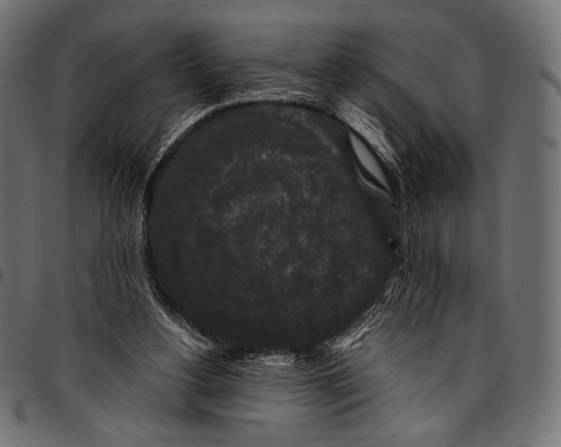 X0000094780156200712141628