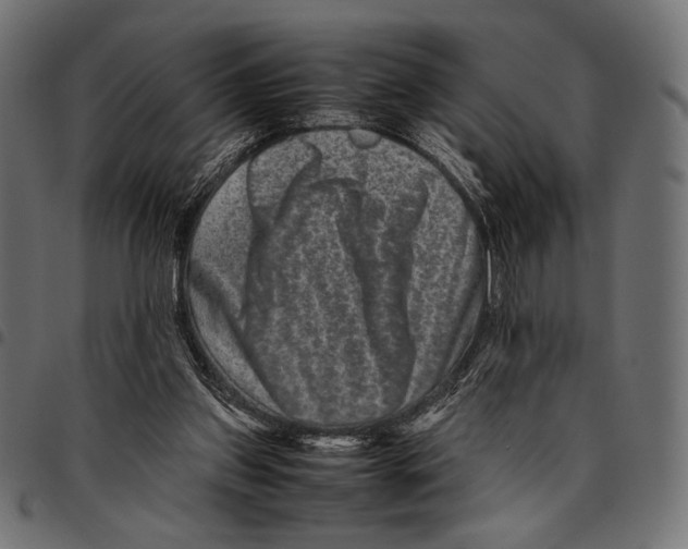 X0000094780157200712141628