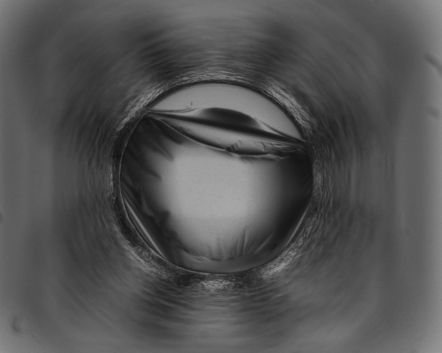 X0000094780158200712141628