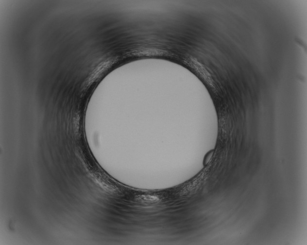 X0000094780159200712141628