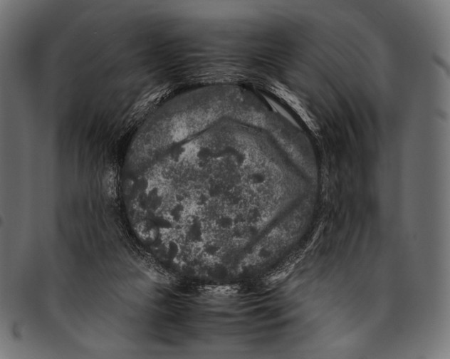 X0000094780161200712141628