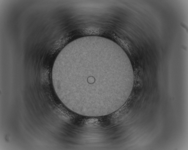 X0000094780162200712141628