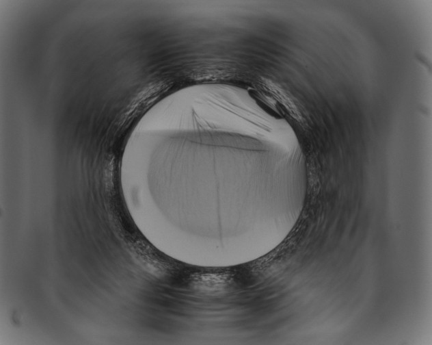 X0000094780163200712141628