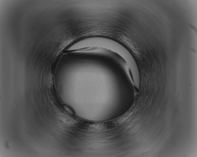 X0000094780164200712141628