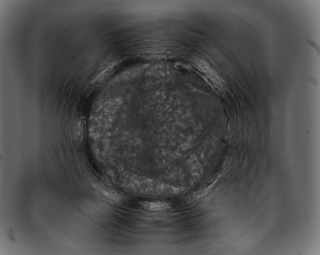 X0000094780165200712141628