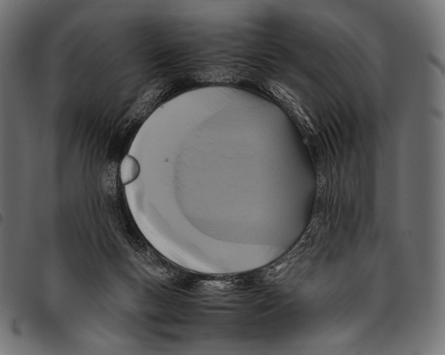 X0000094780167200712141628