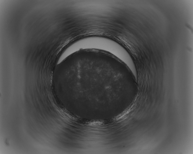 X0000094780168200712141628