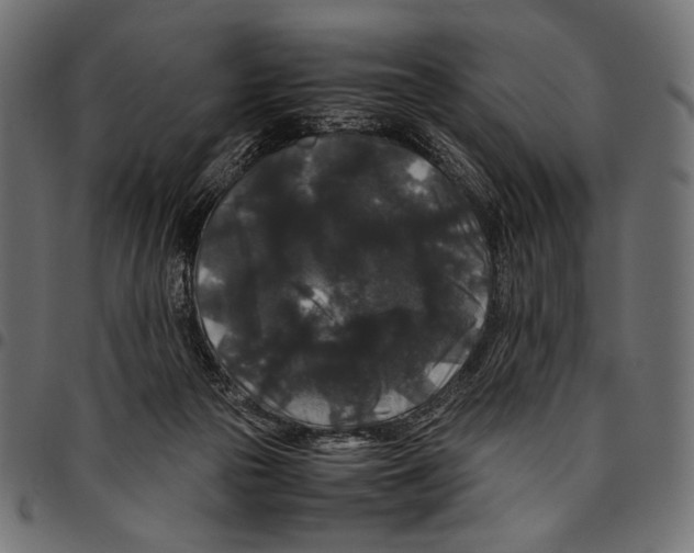 X0000094780169200712141628