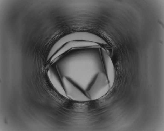 X0000094780170200712141628