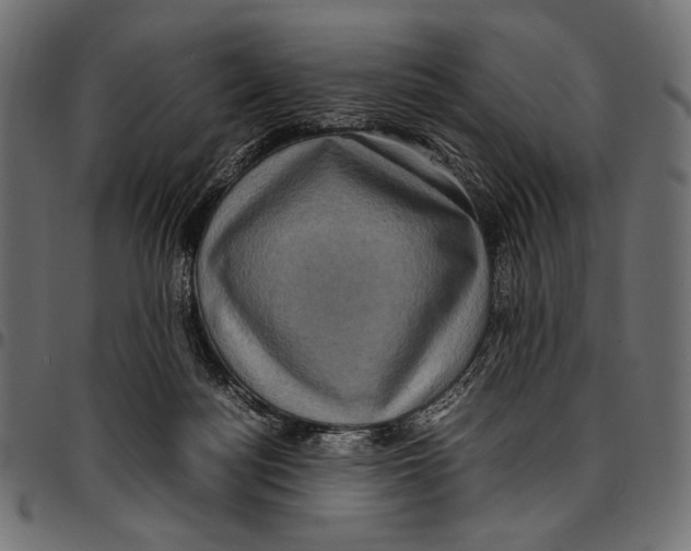 X0000094780172200712141628