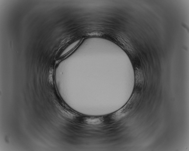 X0000094780175200712141628