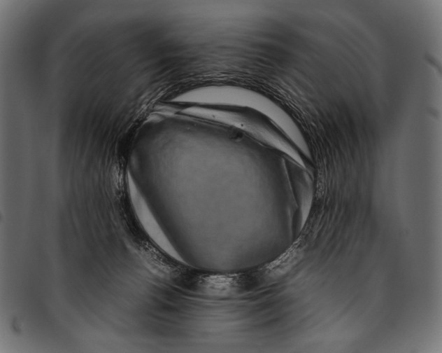 X0000094780176200712141628