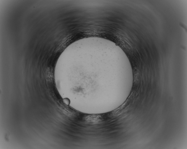 X0000094780179200712141628