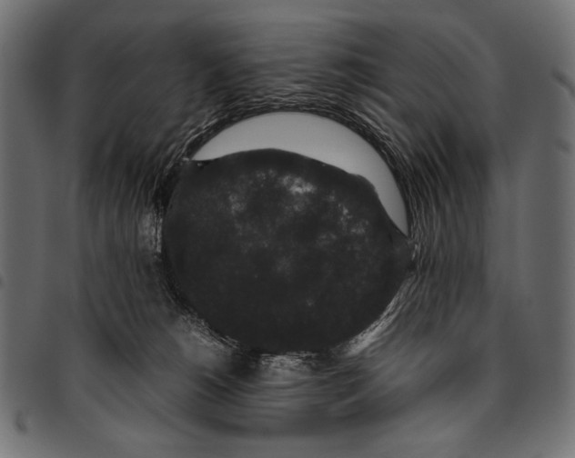 X0000094780180200712141628