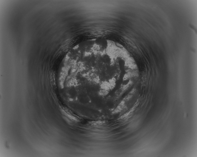 X0000094780182200712141628