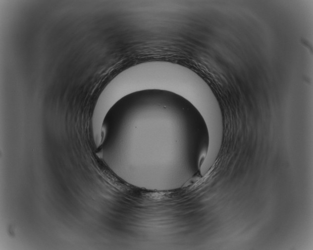 X0000094780184200712141628