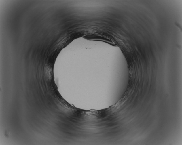 X0000094780188200712141628