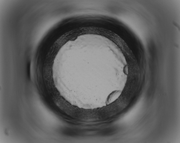 X0000094780189200712141628