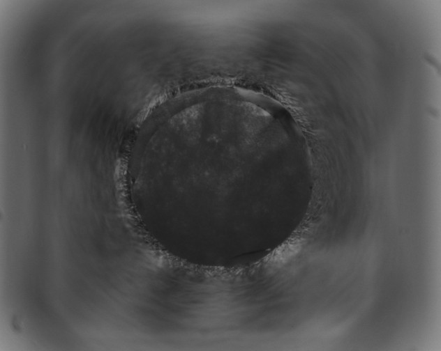 X0000094780192200712141628