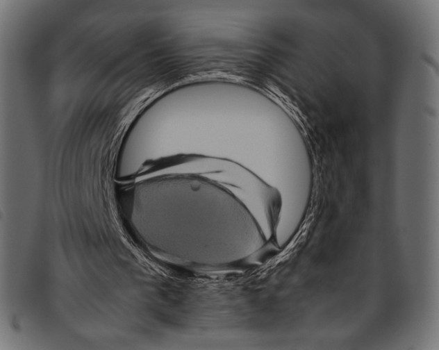 X0000094780193200712141627