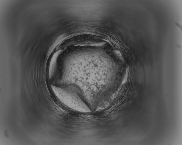 X0000094780195200712141627