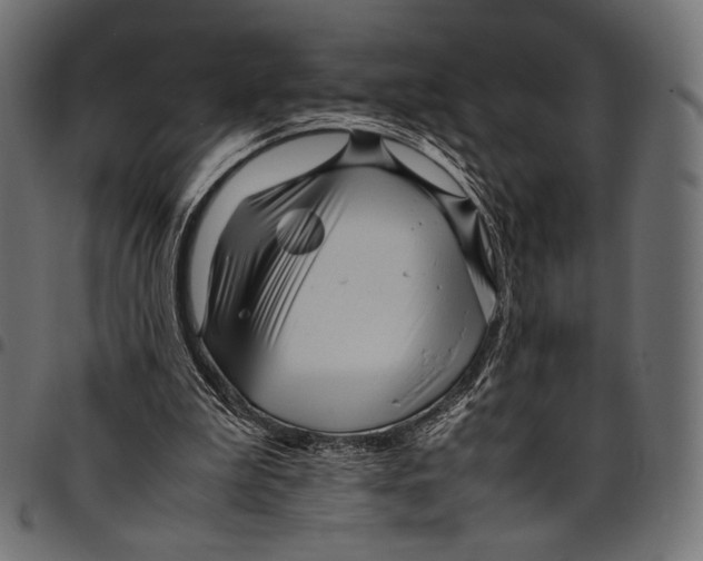 X0000094780199200712141627