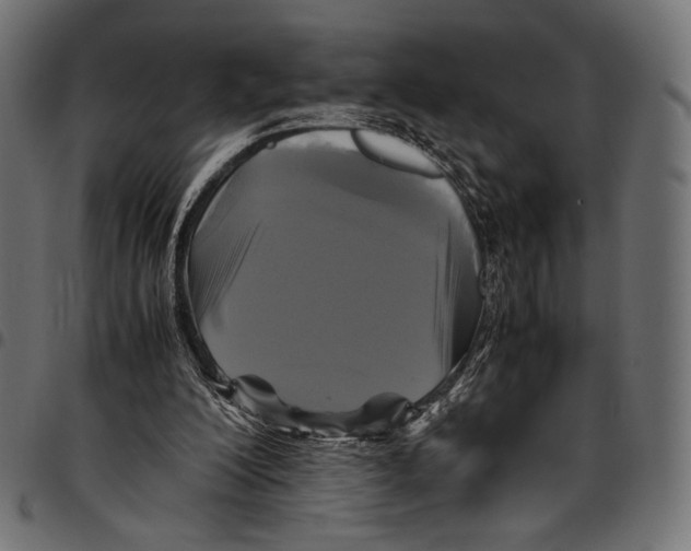 X0000094780200200712141627