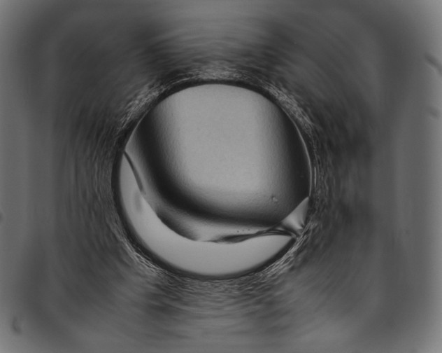 X0000094780201200712141627