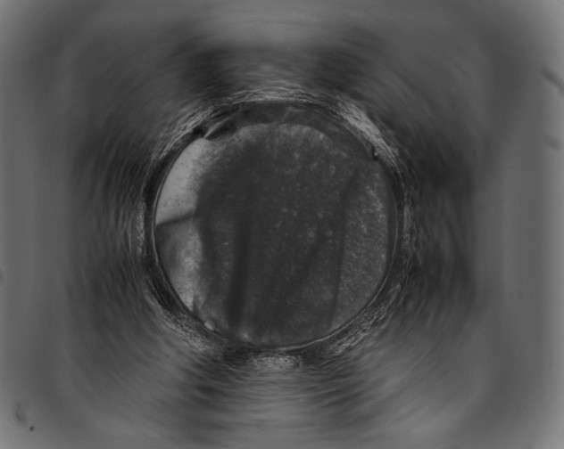 X0000094780202200712141627