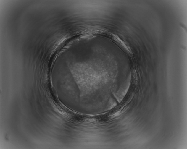 X0000094780203200712141627