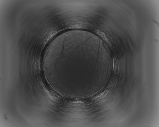 X0000094780204200712141627