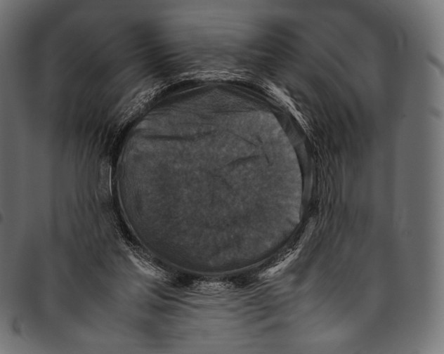 X0000094780205200712141627