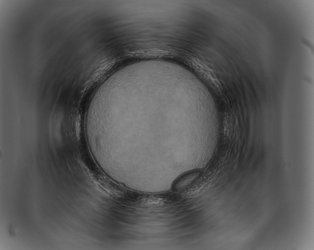 X0000094780206200712141627