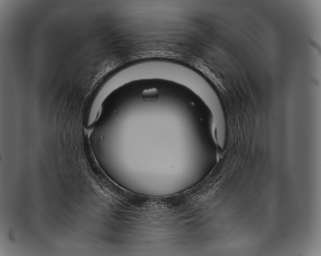 X0000094780207200712141627